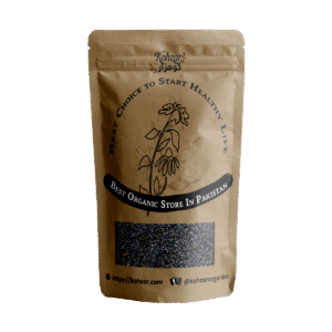 Kohzar Basil Seeds (Tokh Malanga)