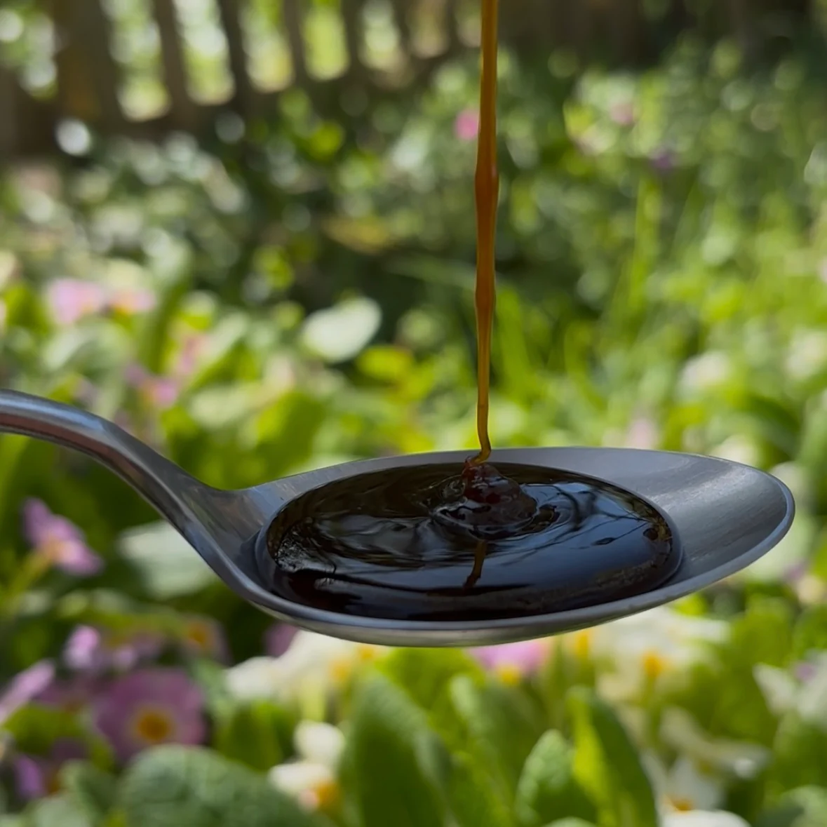 Date Syrup vs Honey: Which Natural Sweetener Wins?