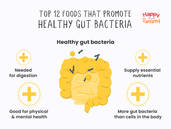 How Natural Sweeteners Improve Gut Health