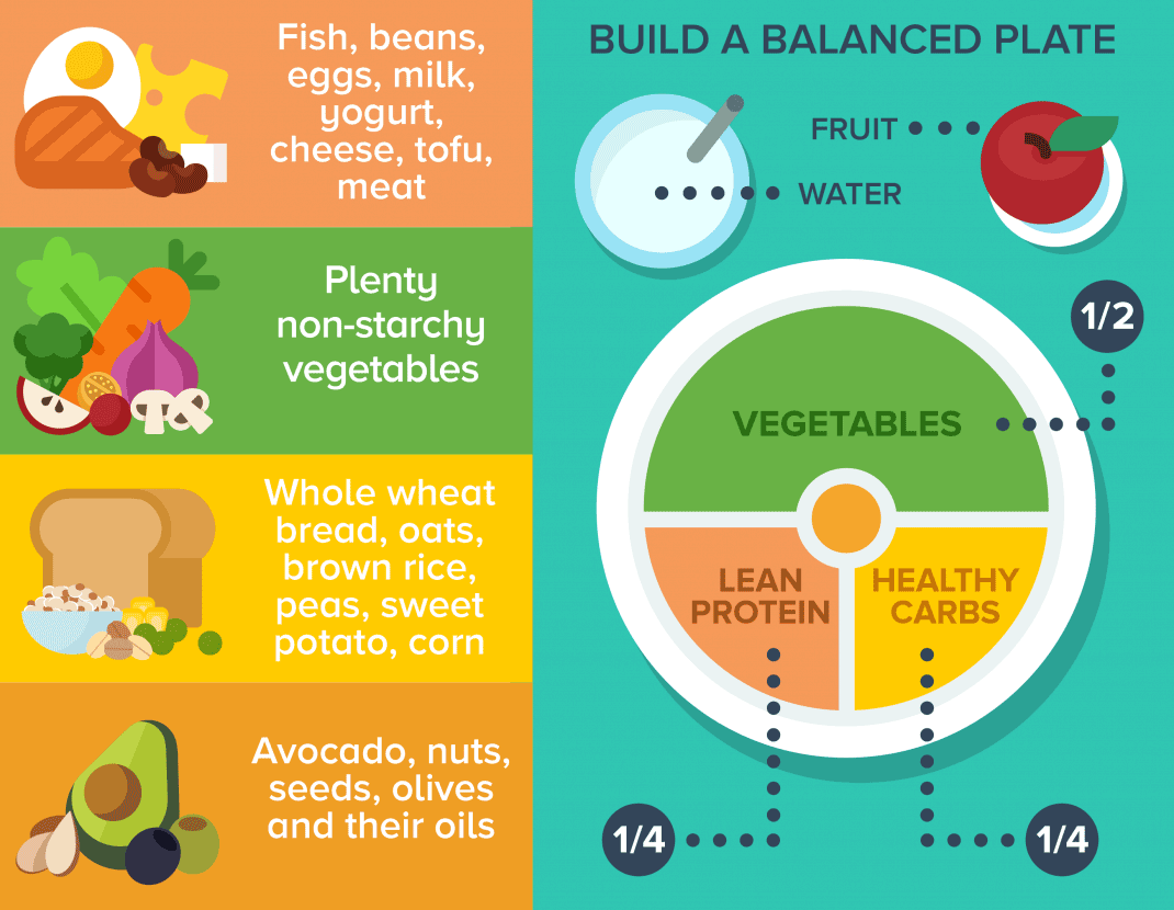 What Is Nutrition? A Beginner’s Guide