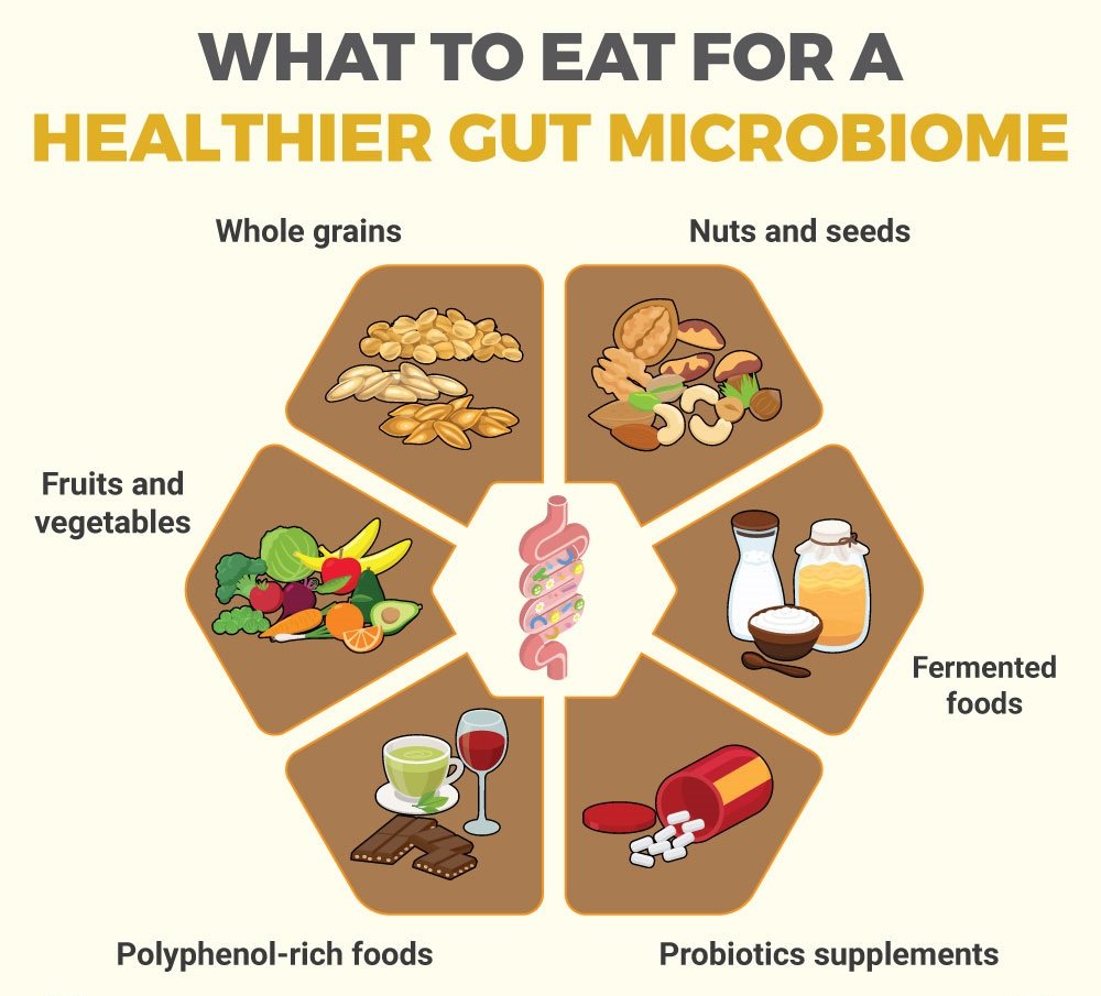 What Is Gut Health, Why It Matters, and How the Digestive System Works