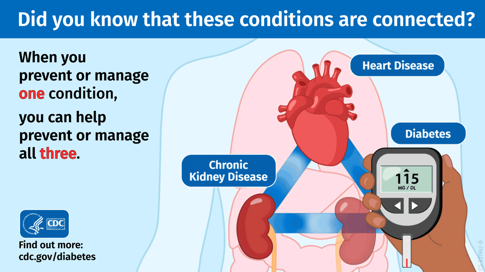 Kidney Failure: When Diabetes and High Blood Pressure Quietly Damage the Kidneys